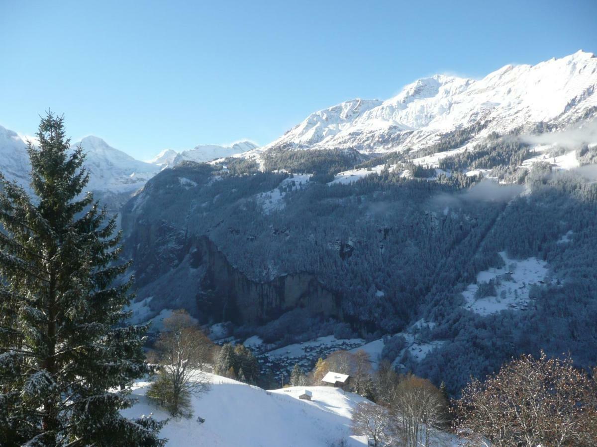 Holiday Flat #1, Chalet Aberot, Wengen, Switzerland 外观 照片